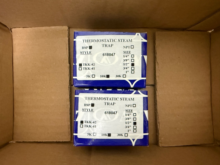 AYVAZ Steam Trap TKK-42 1/2“ BSP 10K
